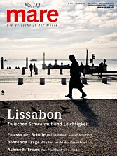 Cover mare 142