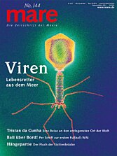 Cover mare 144
