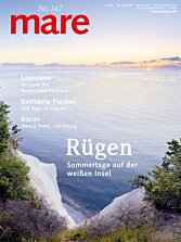 Cover mare 147