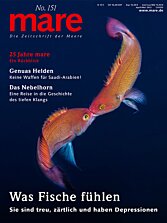 Cover mare 151