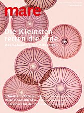 Cover mare 155