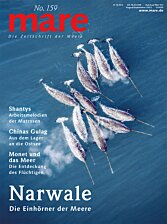 Cover mare 159