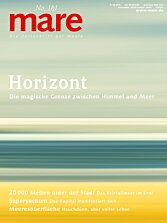 Cover mare 161