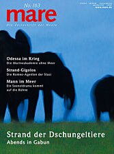 Cover mare 163