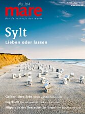 Cover mare 164
