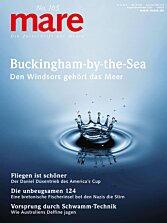 Cover mare 165