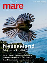 Cover mare 167