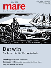 Cover mare No. 171