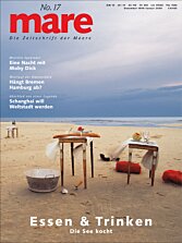 Cover mare 17
