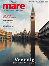Cover mare 18