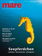 Cover mare 21
