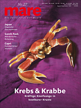 Cover mare 27