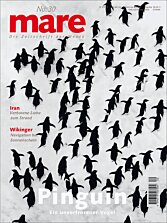 Cover mare 30