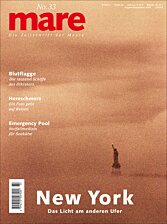 Cover mare 33
