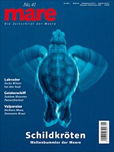 Cover mare 41