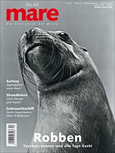 Cover mare 44