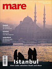 Cover mare 46