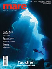 Cover mare 48