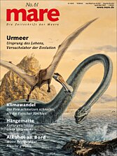 Cover mare 61