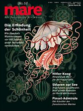 Cover mare 38