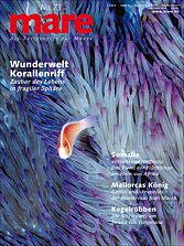 Cover mare 73