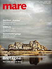 Cover mare 76