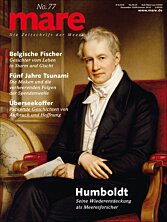 Cover mare 77