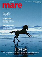 Cover mare 98