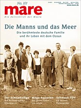 Cover mare 101