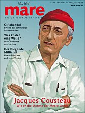 Cover mare 104