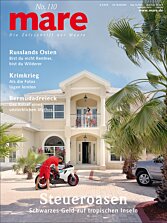 Cover mare 110