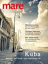 Cover mare 113