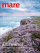 Cover mare 117