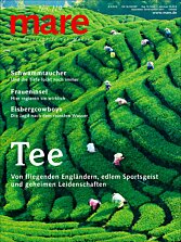 Cover mare 119

