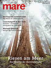 Cover mare 124