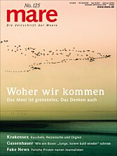 Cover mare 125
