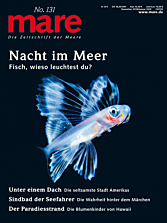 Cover mare 131