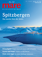Cover mare 132