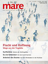 Cover mare 133