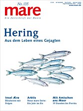 Cover mare 135