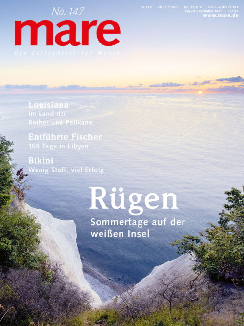 Cover mare 147