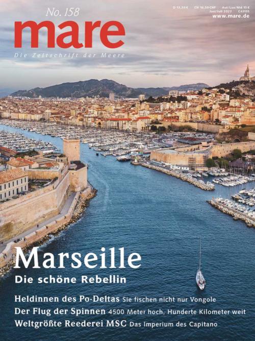 Cover mare 158