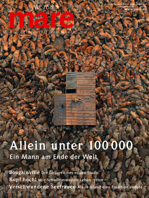 Cover mare 168