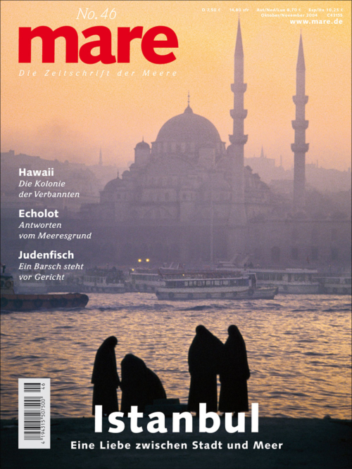 Cover mare 46