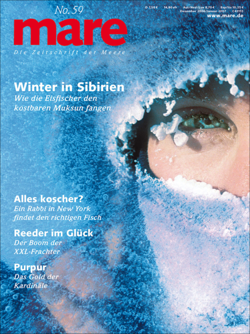 Cover mare 59