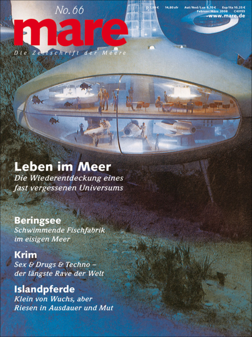 Cover mare 66