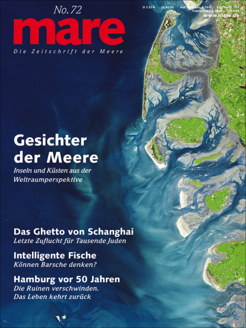 Cover mare 72