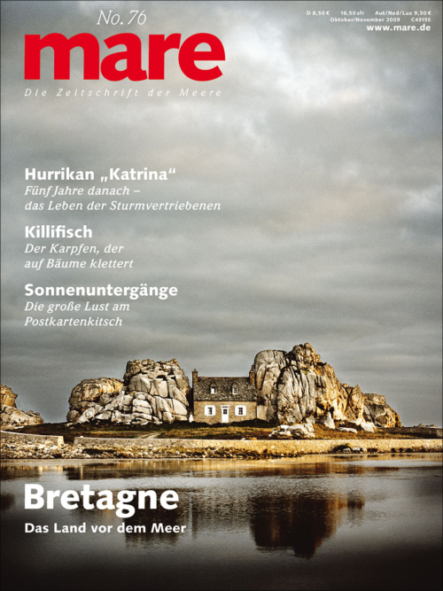 Cover mare 76