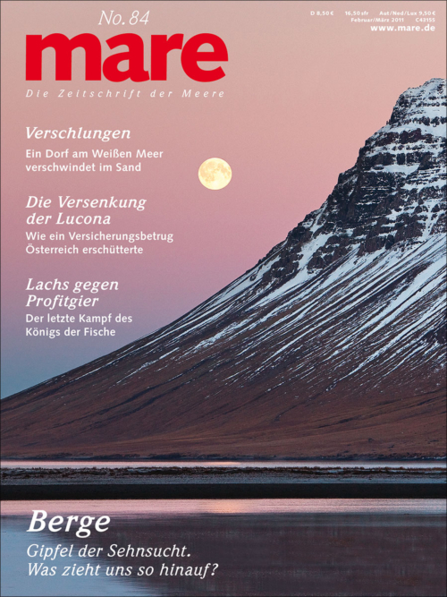 Cover mare 84