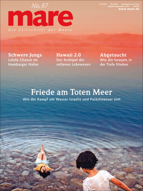 Cover mare 87